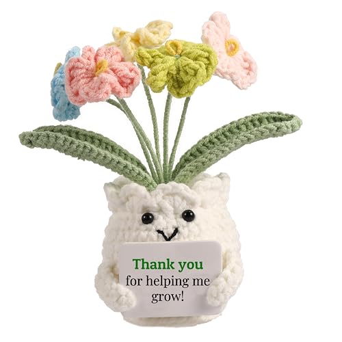 Back to School Teacher Gifts, Helping Me Grow Crochet Flower Pot - color: E-thank You for Helping Me Grow!”