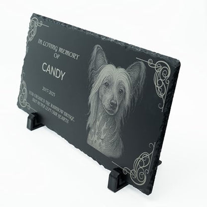 Small Display Stands for Tabletop – Plastic Easel Holders for Photos, Memorial Plaques, Postcards, Phones, Not for Large Posters or Frames