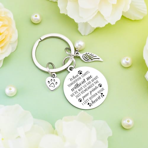 Pet Memorial Gifts for Dog Memorial Gifts for Loss of Dog Sympathy Gift | In Memory of Dog Remembrance Gift Paw Print Keychain Dog Loss Keychain Pet Loss Gifts with Pet Memorial