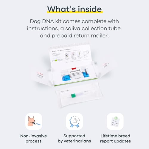Basepaws Cat DNA Test Kit, Breed, Health & Dental Insights, 114 DNA Traits - size: 1 Count (Pack of 1)