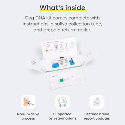 Basepaws Cat DNA Test Kit, Breed, Health & Dental Insights, 114 DNA Traits - size: 1 Count (Pack of 1)