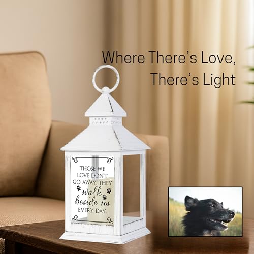 The Bridge Collection Paw Print Pet Memorial Flameless Lantern - Loss of Dog Sympathy Gift - Dog Memorial Gifts - Bereavement Gift for Loss of Pet