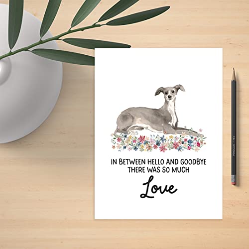 Andaz Press Jumbo Pet Sympathy Card with Envelope, Sorry For Your Loss Card, Italian Greyhound, Pet Loss, Dog Grief Bereavement Card with Big Blank Space to Send to Friends, Family, 8.5" x 11", 1-Pack - color: Italian Greyhound