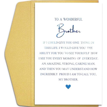 Qiliji Funny Birthday Card for Brother, Hilarious Brother Birthday Card, Bro Bday Card from Sister Brother, To A Wonderful Brother Proud To Call You A Brother - color: Brother Birthday