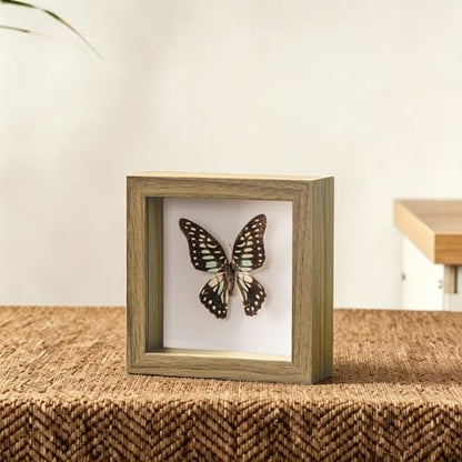4x4 Mini Shadow Box Frame with Ultra-Clear Glass & Soft Linen Back | With Push Pins, Deep 1.2" Brown Shadow Box Display Case – Display on Tabletop or Wall for Insect, Photo, Flower, Keepsakes - color: Brown+high Definition Panel + Shatter-proof Packaging,