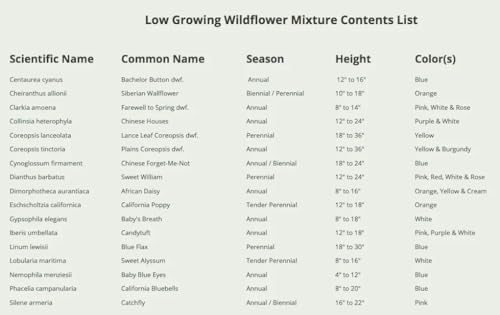 Seed Needs Low Growing Wildflower Seed Mix 2 Bulk Packs (1 Ounce Each) - size: 2 Packs, style: Low Growing Mix