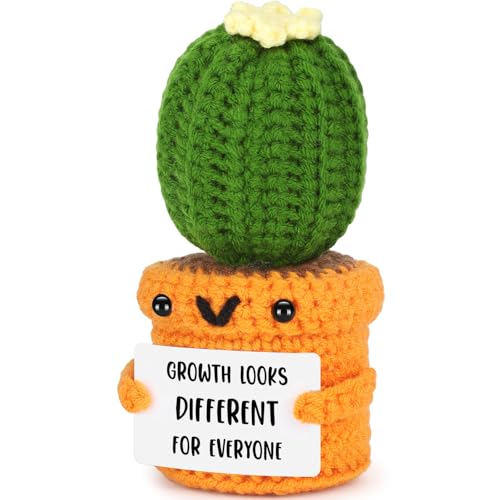 Agantree art Cactus Decor for Women Men Thank You Gifts for Teacher, Teacher Appreciation for Women Gift Ideas,Inspirational Gifts for Women Cheer Up for Coworker Friend Back to School Christmas - style: Different