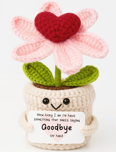 Goodbye Gifts for Coworkers Crochet Heart Flower Plant, Saying Goodbye So Hard, Cute Handmade Desk Decor, Unique Going Away Christmas friendship Gift for Friend, Coworker, Moving Away,Long Distance - color: Goodbye