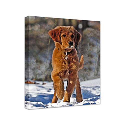 Personalized Photo to Canvas Print - Canvas Prints With Your Photos on Custom Wall Art for Bedroom, Living Room, Wedding Baby Pet Family Picture Framed Wall Art (16" W x 20" H) - size: 20"L x 16"W