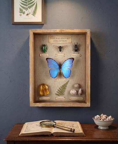 11 x 14 inch Shadow Box, Picture Frame Case with Linen Background, Displays Memorabilia Awards Medals Photos Memory, Shatter-Resistant Glass, Solid Wood in Rustic Farmhouse Grey
