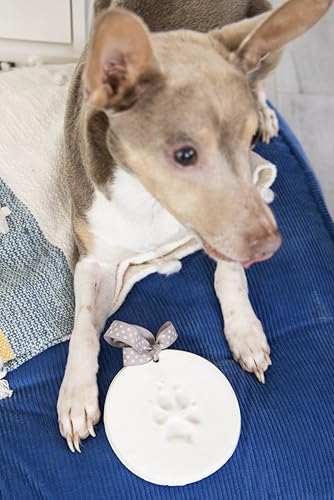 Pearhead Pet Paw Print Keepsake Ornament Kit, No-Bake Clay Kit - color: Clay Pawprint Kit, 3 Ribbons, size: 1-Pack
