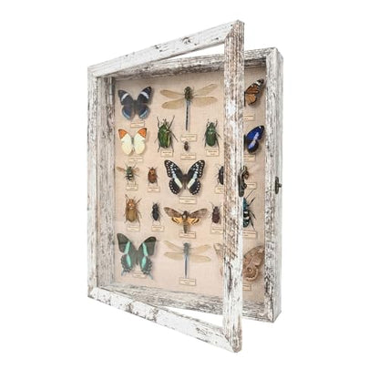 11×14 Shadow Box Frame, Linen Back, Glass Door, Hinge Display Case - color: Rustic White, size: 11×14