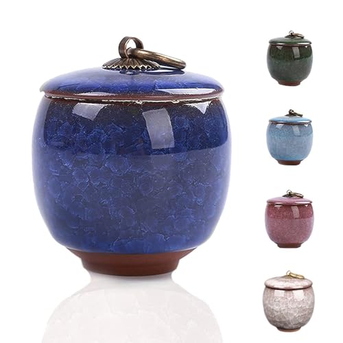 Small Urns for Human Ashes Keepsake, Ceramic Ice Crack Memorial Keepsake Cremation Urns Token Urns Mini Sharing Funeral Urns with Black Premium Box,Blue - color: Blue