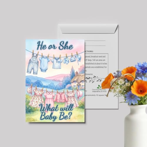Outsidepride Gender Reveal Seed Packet Favors - 25 Packets - size: Option 1, style: Gender Reveal