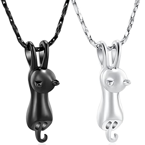 Imrsanl Pet Cremation Jewelry for Ashes Cat Urn Necklace - color: 2pcs-Silver/Black