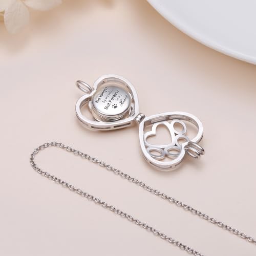 DAOCHONG Cat Urn Necklace Pet Cremation Memorial Jewelry for Women | 925 Sterling Silver Cremation Pendant | Dog Cat Paw Print Heart Locket | Pet Ashes Keepsake for Loved Ones - style: Pet Urn Necklaces