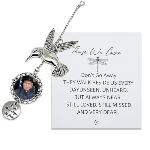 Humminbird Gift for Women Humminbird Memorial Gifts Sympathy Gifts for Loss of Loved One,Hummingbird Ornament DIY Frame Family in Loving Memory Gift for Bereavement(Silver Hummingbird) - color: Silver Hummingbird