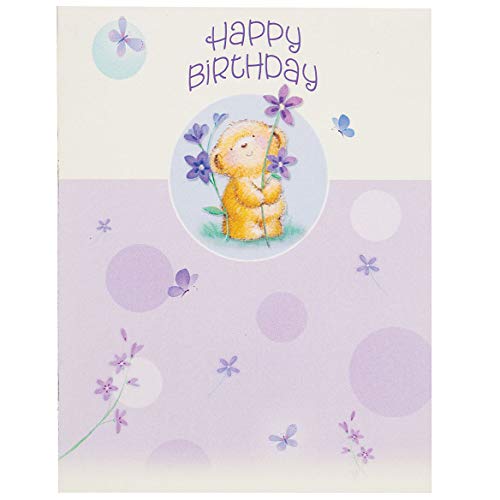 Fox Valley Traders Variety Pack All Occasion Card Set of 20