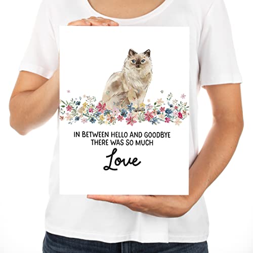 Andaz Press Jumbo Pet Sympathy Card with Envelope, Sorry For Your Loss Card, Ragdoll Cat, Loss Of Pets, Cat Grief Bereavement Card with Big Blank Space to Send to Friends, Family, 8.5" x 11", 1-Pack - color: Ragdoll Cat