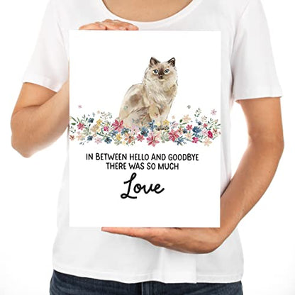 Andaz Press Jumbo Pet Sympathy Card with Envelope, Sorry For Your Loss Card, Ragdoll Cat, Loss Of Pets, Cat Grief Bereavement Card with Big Blank Space to Send to Friends, Family, 8.5" x 11", 1-Pack - color: Ragdoll Cat