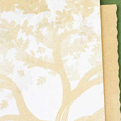 Hallmark Sympathy Card (Hoping You Find Comfort) - color: 10 Cards with Envelopes