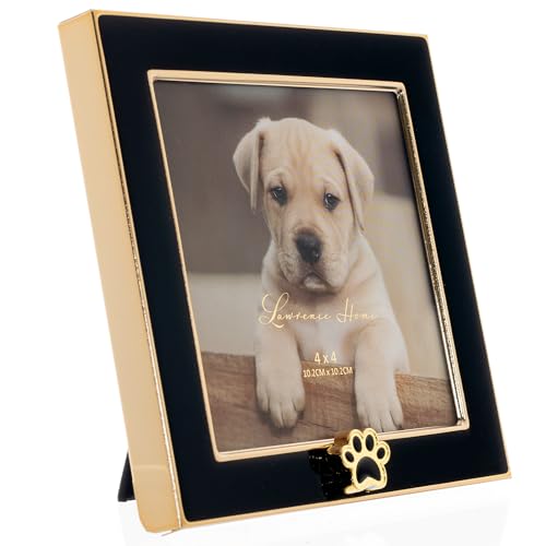 4x4 Black Enamel on Gold Metal Frame - Dog Paw Print - color: Black