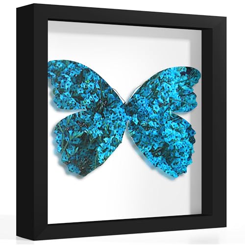 10x10 Black Wooden Shadow Box Frame, 1.2" Deep, Tempered Glass | Black Backboard, Tabletop & Vertical/Horizontal Wall Display, Memorabilia Display, Wedding/Baby Keepsakes & Crafts - color: Black, size: 10x10