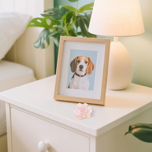 EYxsaxenk Loss of Pet Sympathy Gift - Pink Crystal Mini Paw Pocket Hug with Memorial Card Envelope Remembrance Bereavement Gift for Loss of Dog Cat Sympathy Favor Adult Pet Lover Stress Relief Supply - color: Pink + Thank You Card