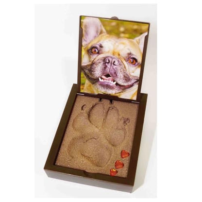 PawPals Paw Print Keepsake Classic Mold Kit, Instant Paw Print Kit with Display Frame & Photo Window, Pet-Safe, No Kneading, Mixing, Baking or Drying Keepsake (Small)
