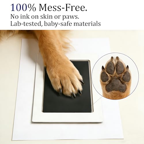 Dog Paw Print Kit & Cat Memorial Frame - Inkless Nose Print Stamp Pad for Dogs, Cats & Babies, Mess-Free Handprint Keepsake, Ink Pads & Wooden Photo Frames, Pet Memorial Gifts (Large 2 Packs) - size: large 2 packs