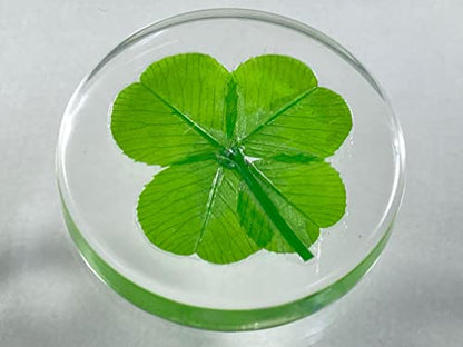 Real Four Leaf Clover Good Luck Pocket Token, Preserved, Preserved-Flowers, 1.25”