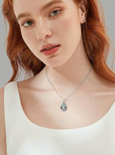 WINNICACA Urn Necklaces for Ashes 925 Sterling Silver Butterfly Hummingbird Dragonfly Teardrop Ash Necklace Cremation Jewelry Urn Pendants for Women Memorial Gifts for Birthday Christmas Funeral - style: 6-Dolphin Urn Necklace