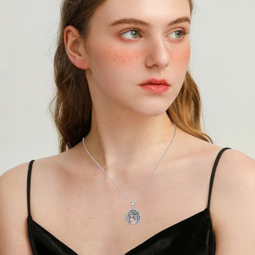 Locket Necklace for Women 925 Sterling Silver Celtic Locket Pendant Necklace Moonstone/Turquoise/Black Agate Heart Shaped Locket Necklace Jewelry Gifts for Women - style: Horse Round