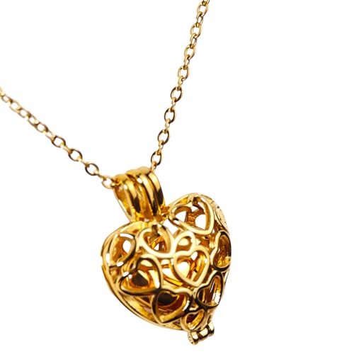 Paw Print Heart Pet Ashes Memorial Necklace with Mini Inner Box-B-Gold ﻿ | Pet Cremation Jewelry for Ashes, Cremation Urn Jewelry to Hold Dog & Cat Ashes Pendant with Box Filling Tools - color: B-Gold