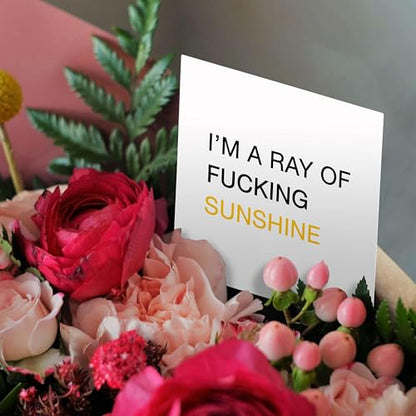 3dRose Im A Ray Of Fucking Sunshine 1 Greeting Card with envelope