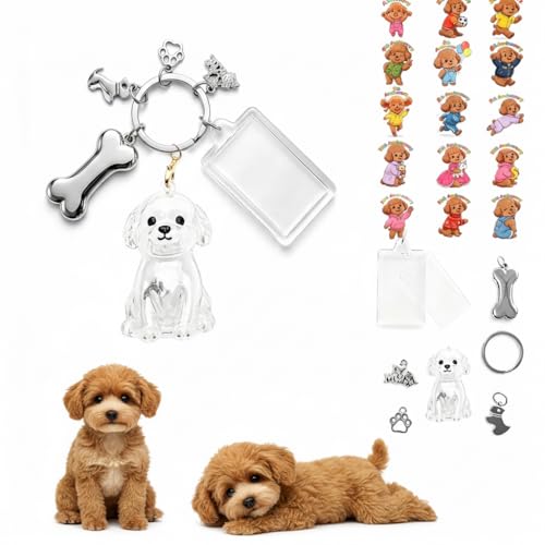 Poodle Pet Dog Hair Collector Keychain Photo Frame with Anniversary Stickers, Pet Hair Memorial Keepsake Pendant for Storing Dog Fur, Portable Decorative Charm Gift Pendant for Pet Remembrance