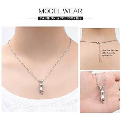 Imrsanl Pet Cremation Jewelry for Ashes Cat Urn Necklace - color: 2pcs-Silver/Black