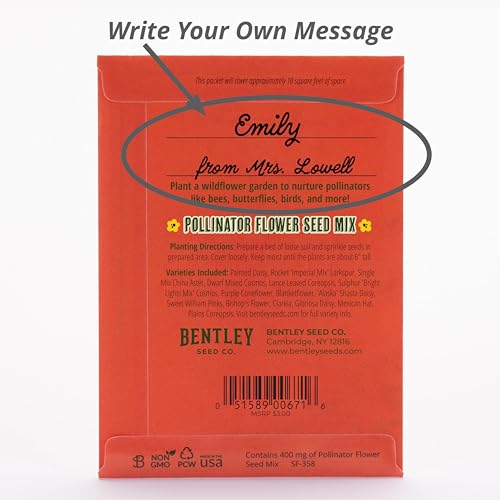 Bentley Earth Day 2025 Bee The Change - Pollinator Flower Mix Seed Packets (25 Packets) - style: Bee the Change