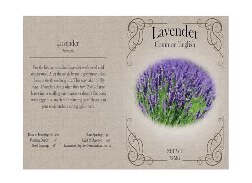 Set of 31 Premium Variety Flower Seed Packets - Heirloom Non-GMO and Proudly Sourced in The USA (31)