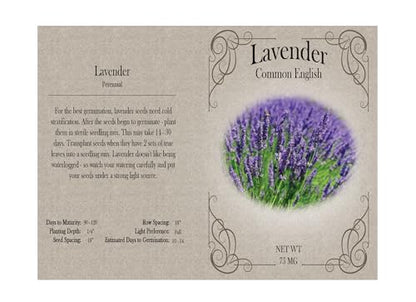 Set of 31 Premium Variety Flower Seed Packets - Heirloom Non-GMO and Proudly Sourced in The USA (31)