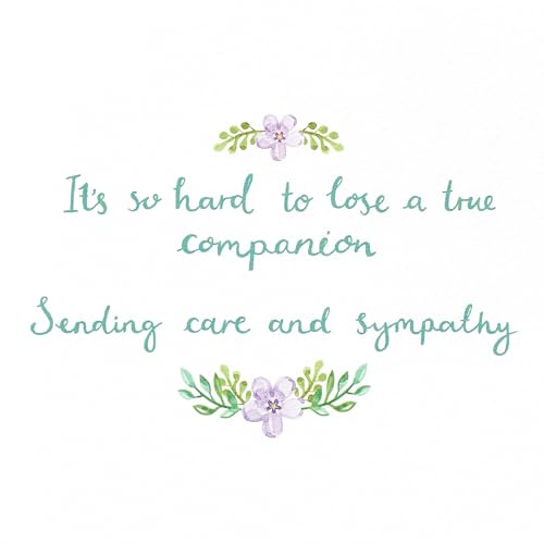 Papyrus Pet Sympathy Card (A True Companion) - color: A True Companion