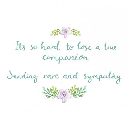Papyrus Pet Sympathy Card (A True Companion) - color: A True Companion