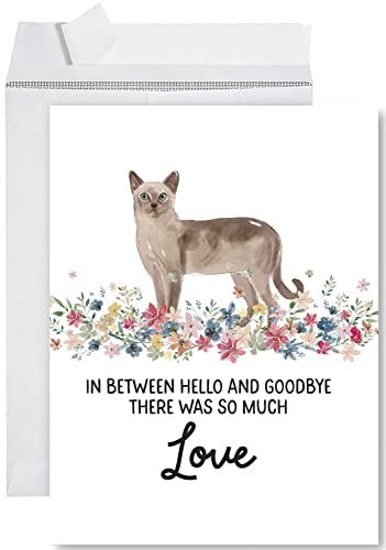 Andaz Press Jumbo Pet Sympathy Card with Envelope, Sorry For Your Loss Card, Tonkinese Cat Loss Of Pets, Cat Grief Bereavement Card with Big Blank Space to Send to Friends, Family, 8.5" x 11", 1-Pack - color: Tonkinese Cat