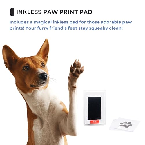 OtterPets Paw Print Kit for Dogs 9x9, 4 customizable displays (White) - color: White
