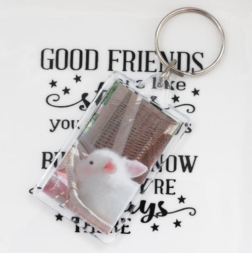 BetterJonny 20Pcs Acrylic Picture Keychain Blanks in Clear Acrylic Picture Frame Keyrings - color: Small Rectangle