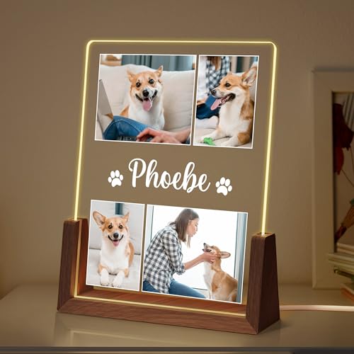 Personalized Dog Memorial Gifts, Custom Acrylic Light Up Picture Frame | Custom Pet Loss Gifts Cat Pet Memorial Gifts with Pictures for Pet Lover, Loss of Dog Sympathy Gifts - color: style-3