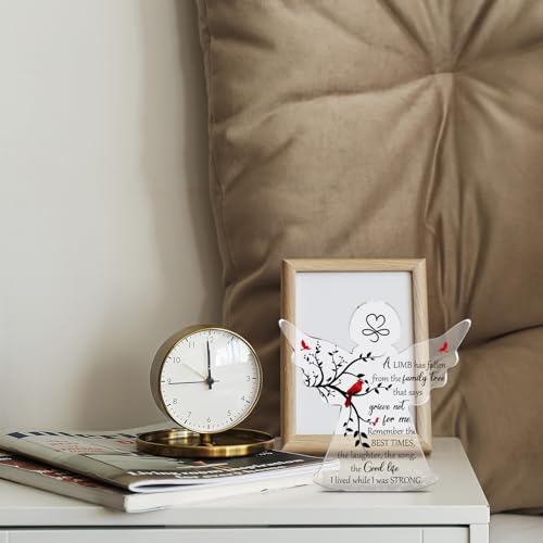 Jetec Sympathy Bereavement Gift in Memory of Loved One,Cute Cardinal - style: Cute Cardinal