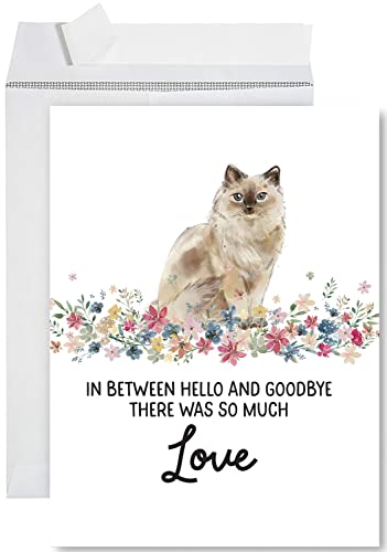 Andaz Press Jumbo Pet Sympathy Card with Envelope, Sorry For Your Loss Card, Ragdoll Cat, Loss Of Pets, Cat Grief Bereavement Card with Big Blank Space to Send to Friends, Family, 8.5" x 11", 1-Pack - color: Ragdoll Cat