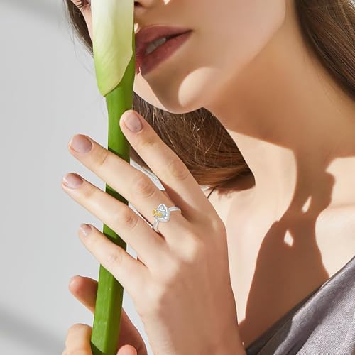 Hummingbird Cremation Urn Rings Holds Loved Ones Ashes 925 Sterling Silver Cremation Keepsake Ring Jewelry for Women