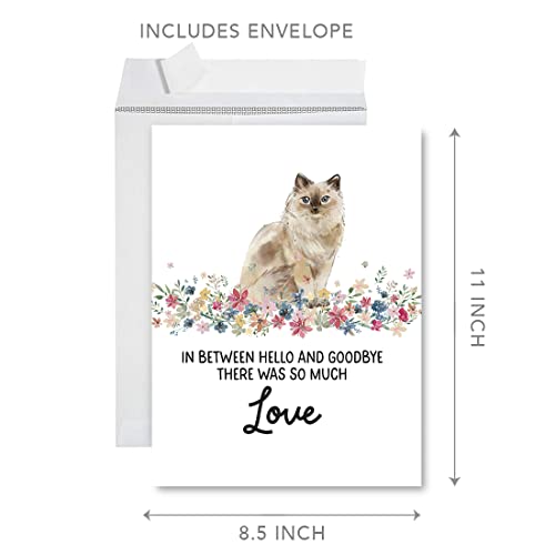 Andaz Press Jumbo Pet Sympathy Card with Envelope, Sorry For Your Loss Card, Ragdoll Cat, Loss Of Pets, Cat Grief Bereavement Card with Big Blank Space to Send to Friends, Family, 8.5" x 11", 1-Pack - color: Ragdoll Cat